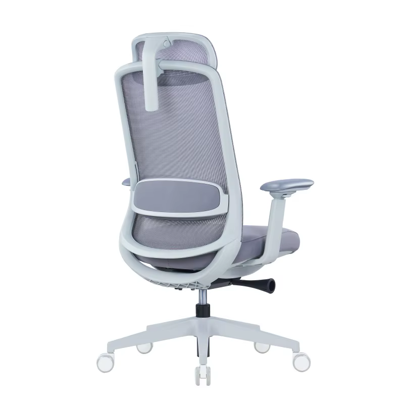 Office Chair With Adjustable Lumbar Support — image 3