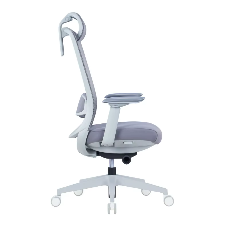 Office Chair With Adjustable Lumbar Support — image 5