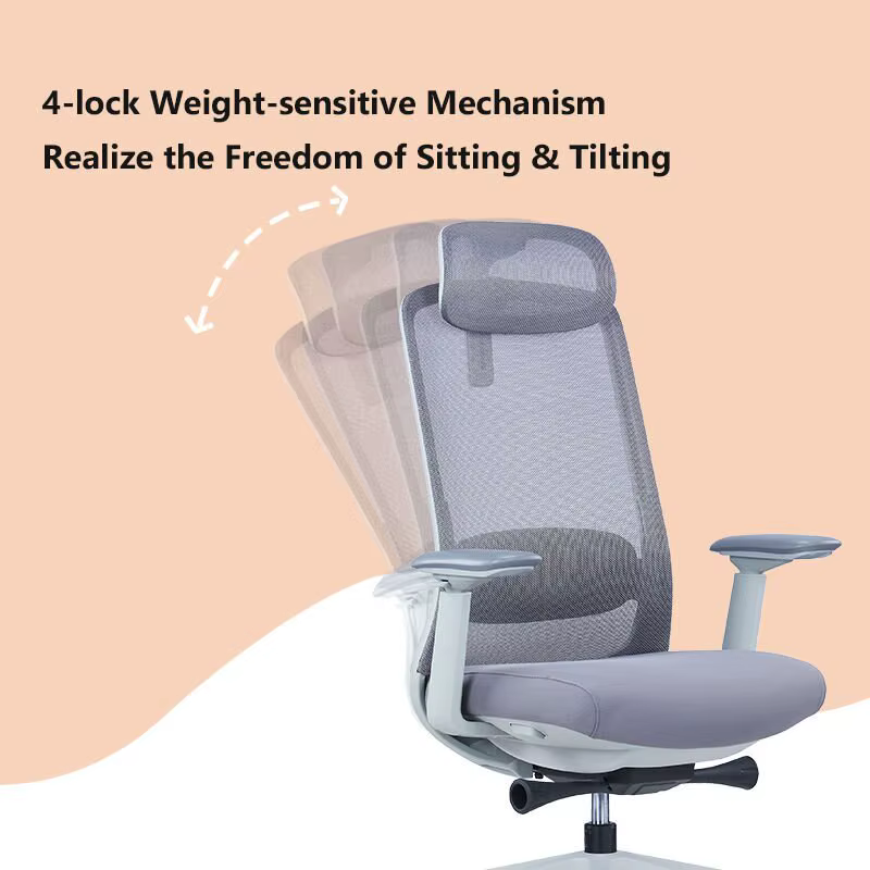 Office Chair With Adjustable Lumbar Support — image 6