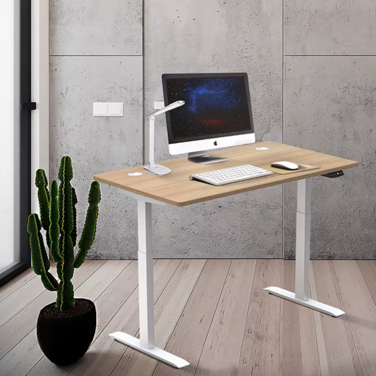 Ergonomic Electric Height Adjustable Home Office — image 4