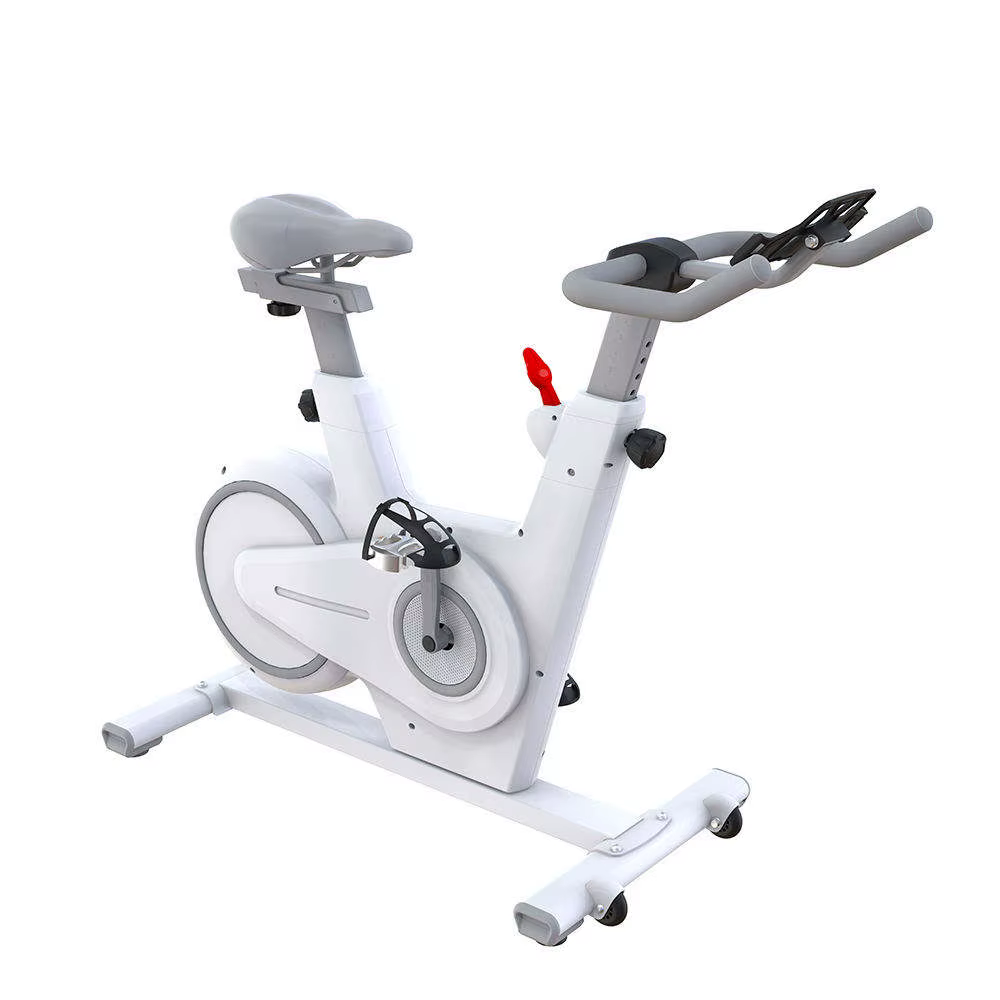 Maketec Attractive Price Home Spinning Bike — image 2