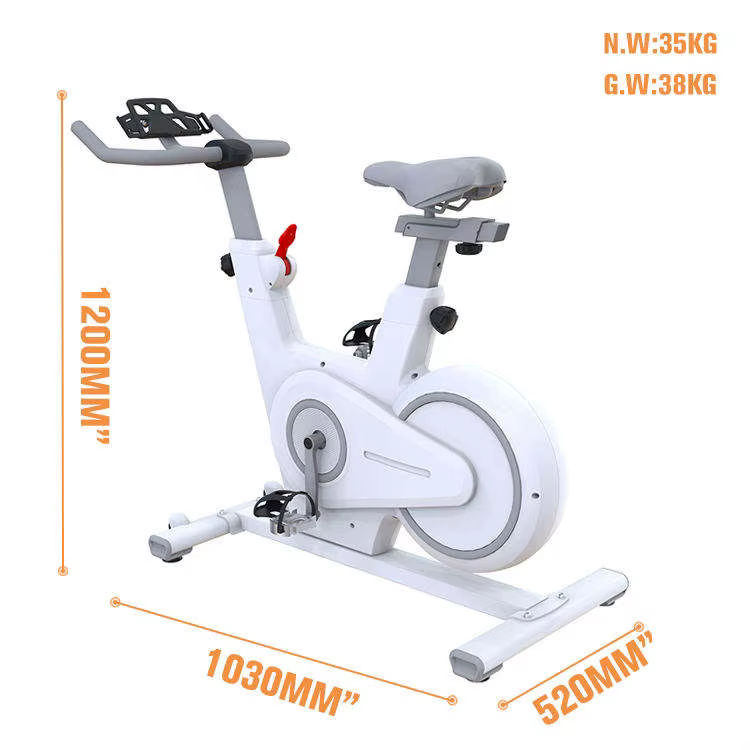 Maketec Attractive Price Home Spinning Bike — image 6
