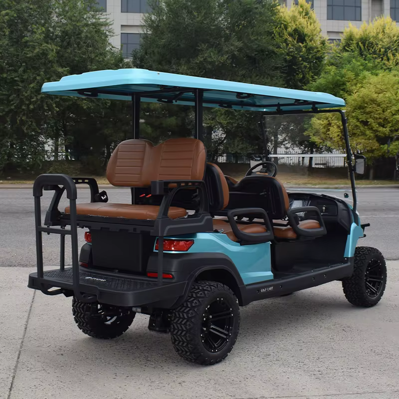 ZYCAR New 4 2 Seat Golf — image 5