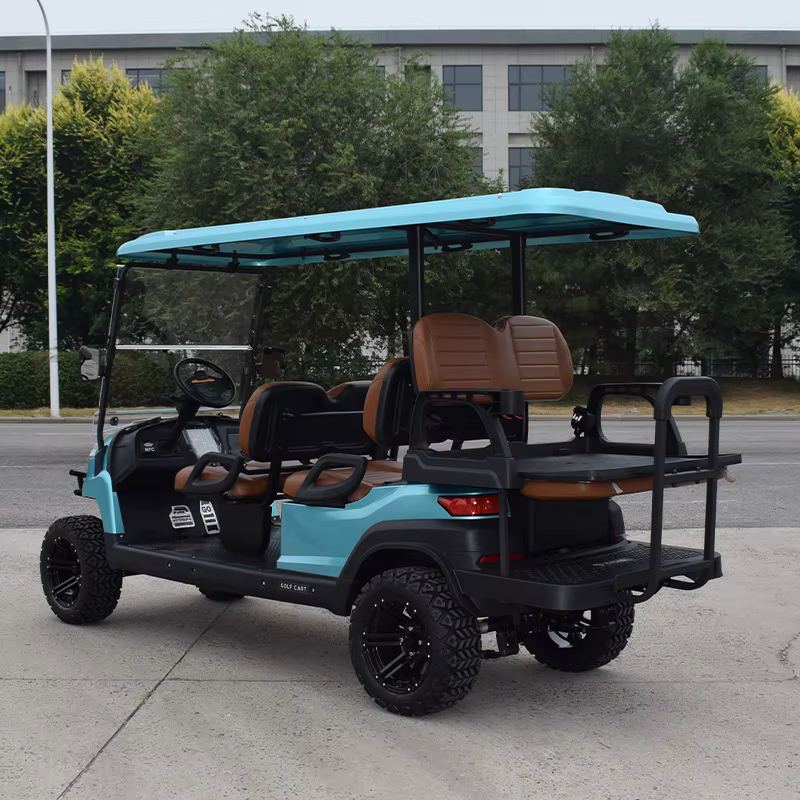 ZYCAR New 4 2 Seat Golf — image 6