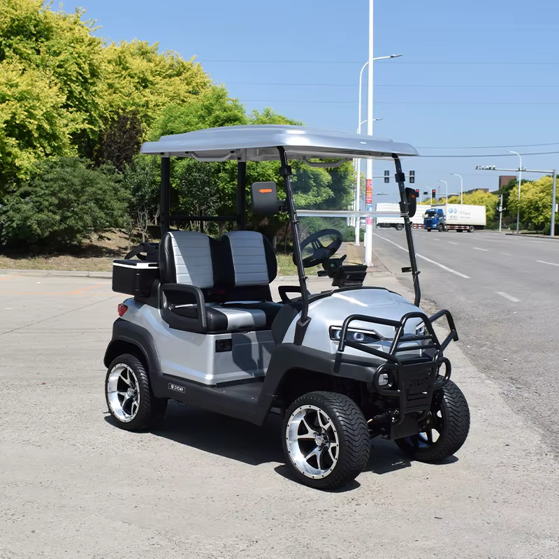 Electric Golf Cart 2 Passengers High — image 2