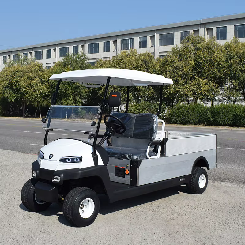 2 seater with cargo box golf cart elektrischgarten  CE approved golf utility cart Electric Resort style buggy — image 2