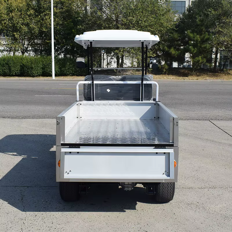 2 seater with cargo box golf cart elektrischgarten  CE approved golf utility cart Electric Resort style buggy — image 3