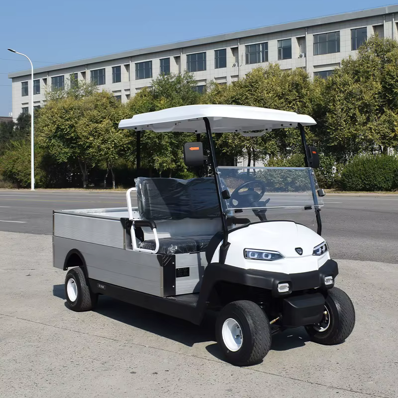 2 seater with cargo box golf cart elektrischgarten  CE approved golf utility cart Electric Resort style buggy — image 5