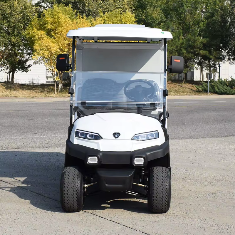 High Quality Utility Electric Truck Golf — image 2