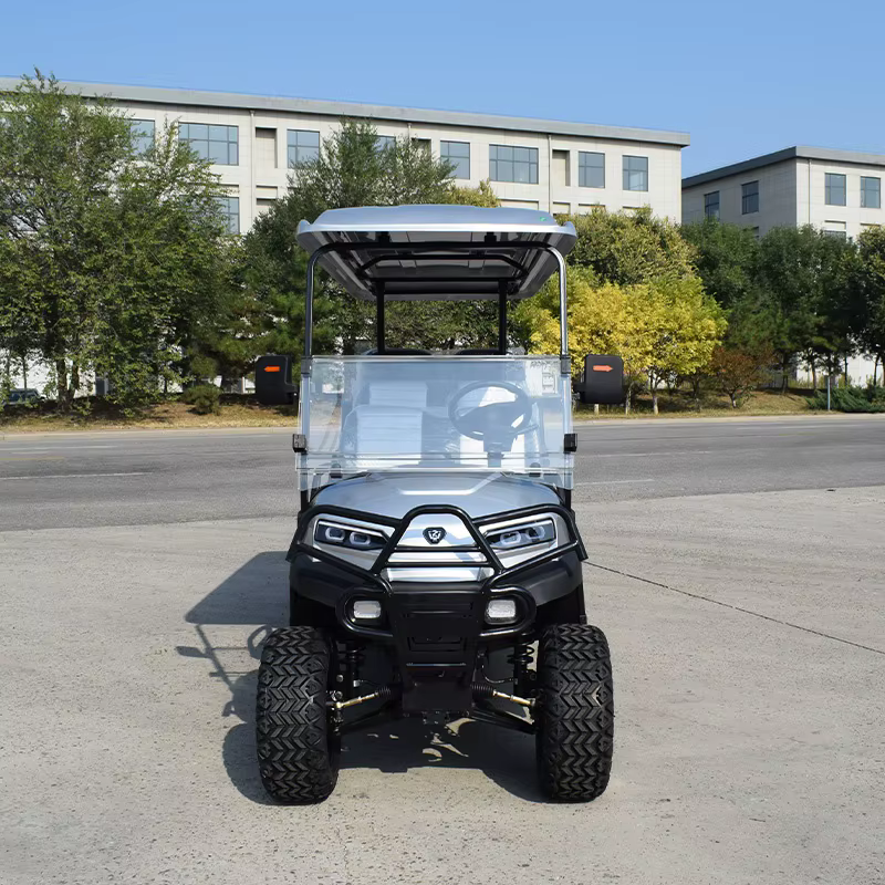 ZYCAR Brand Solar Smart 6 Seat — image 2