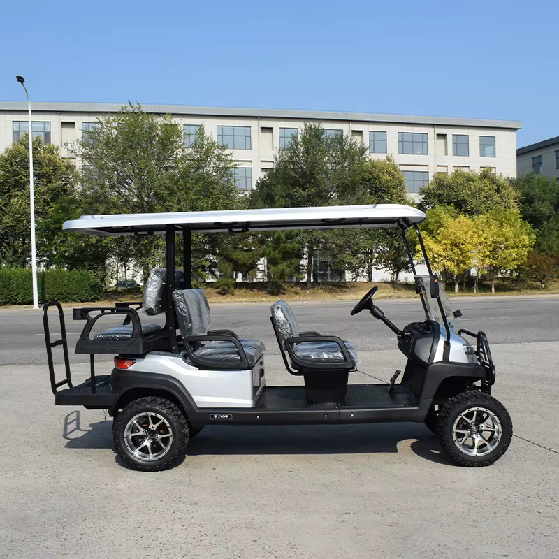ZYCAR Brand Solar Smart 6 Seat — image 4