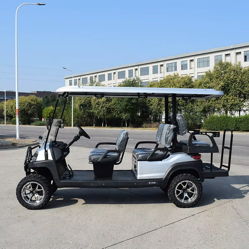 ZYCAR Brand Solar Smart 6 Seat — image 5