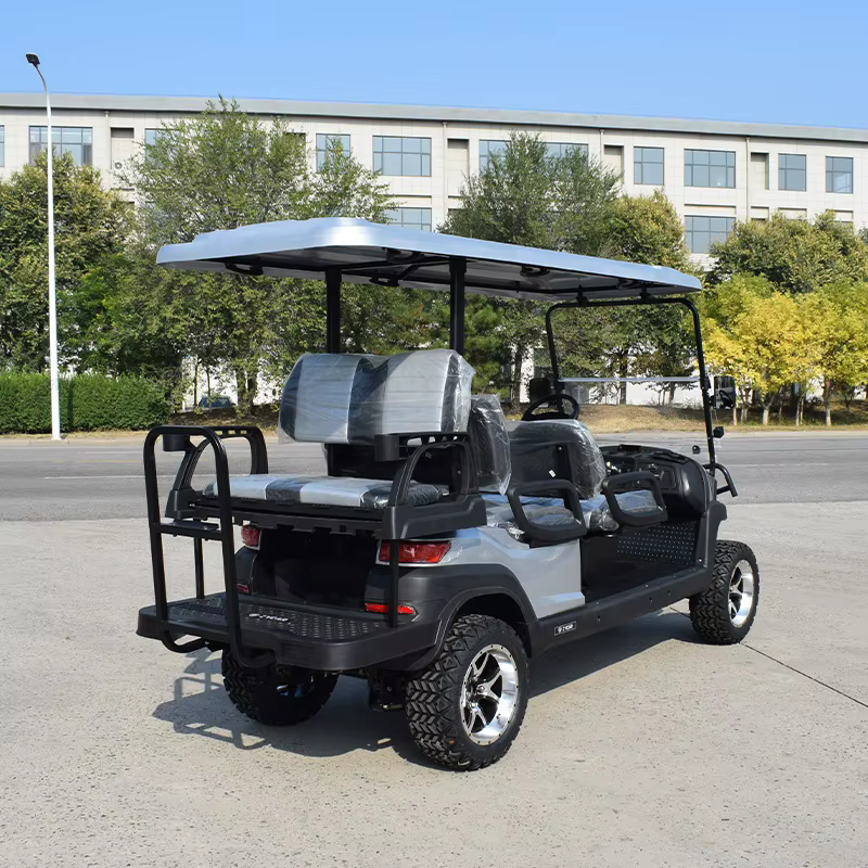 ZYCAR Brand Solar Smart 6 Seat — image 6