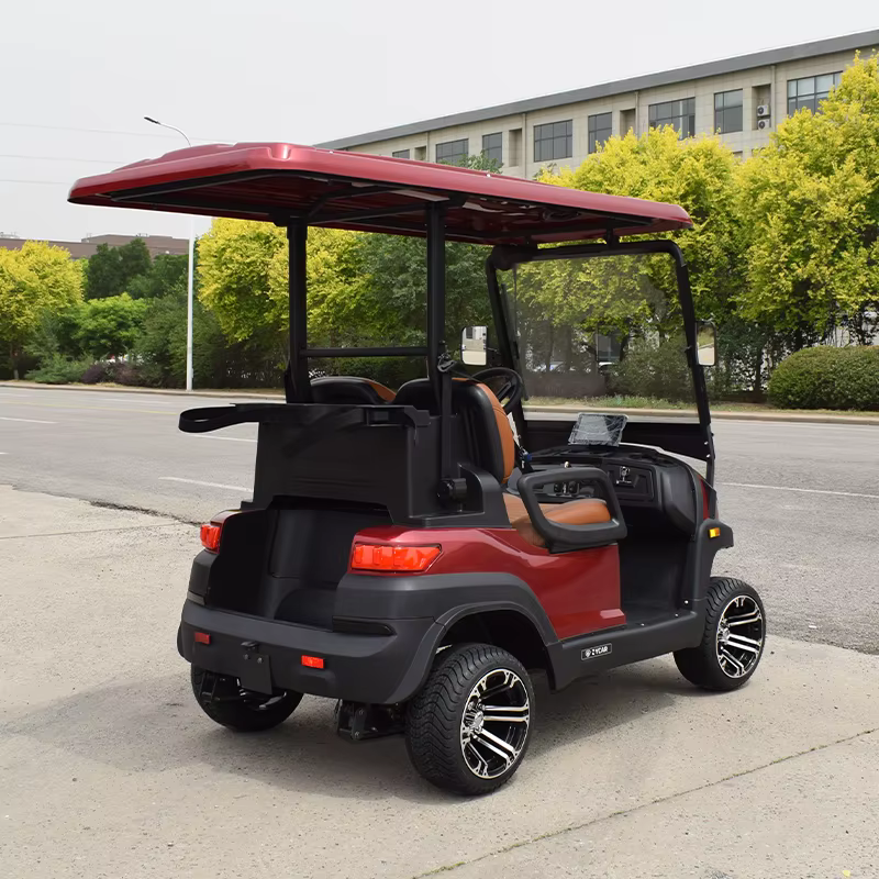 EEC Version 2 Person Electric Lifted — image 6