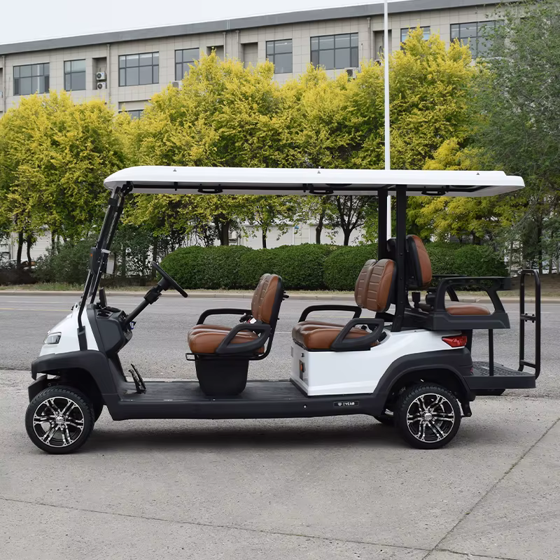 China 2 4 6 Seater Electric — image 5