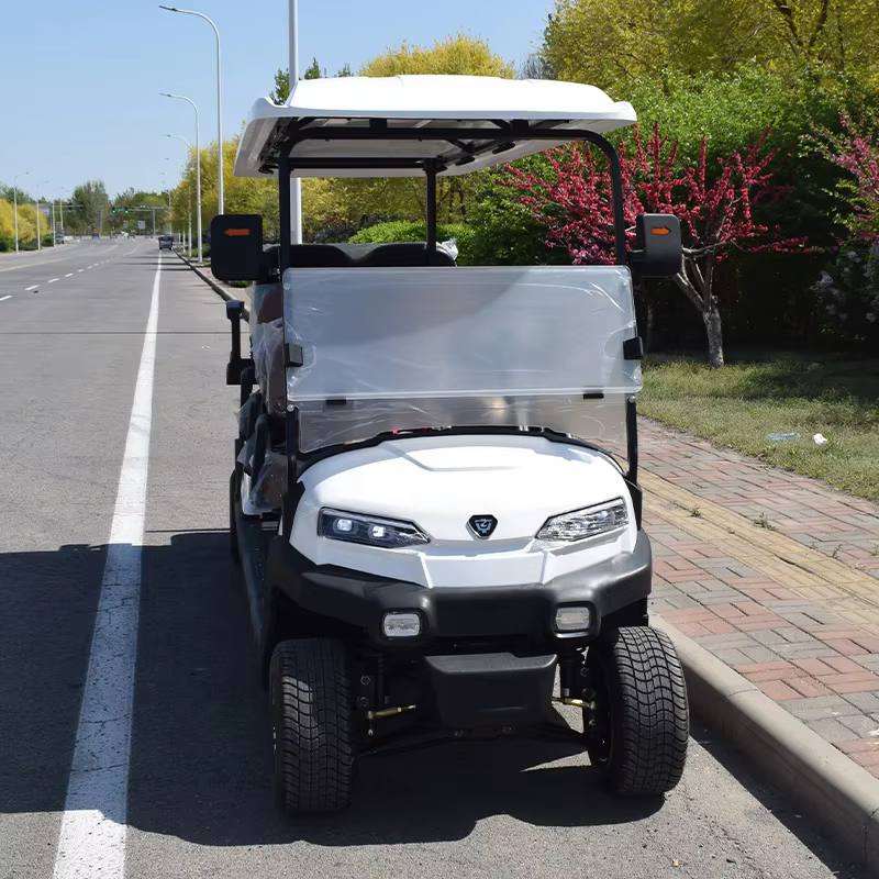 Factory Prices Electric Golf Car — image 4