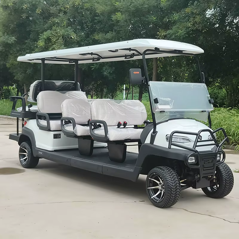 Customizable CE Certificated 8 Seater Electric — image 3