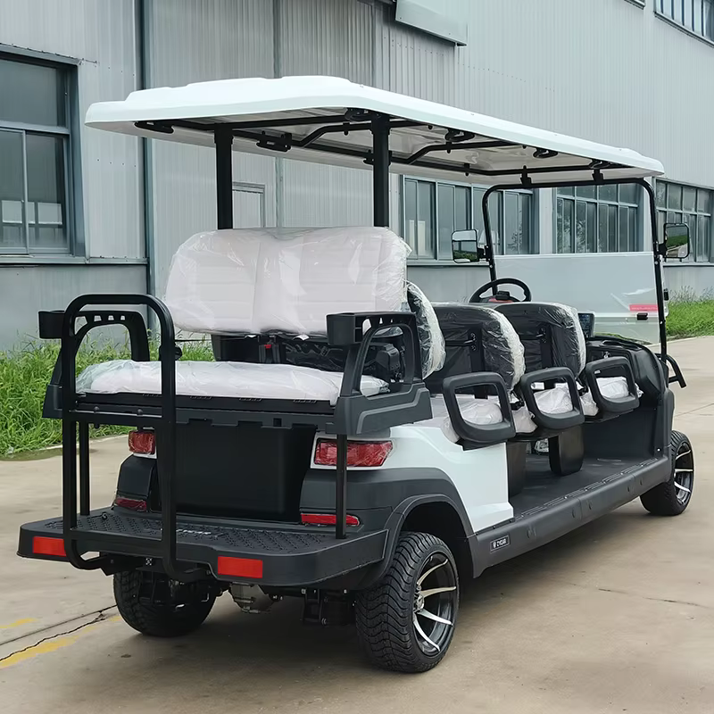Customizable CE Certificated 8 Seater Electric — image 4