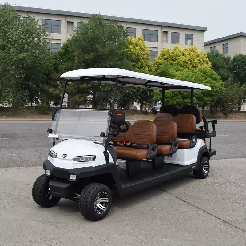 Customizable CE Certificated 8 Seater Electric — image 6