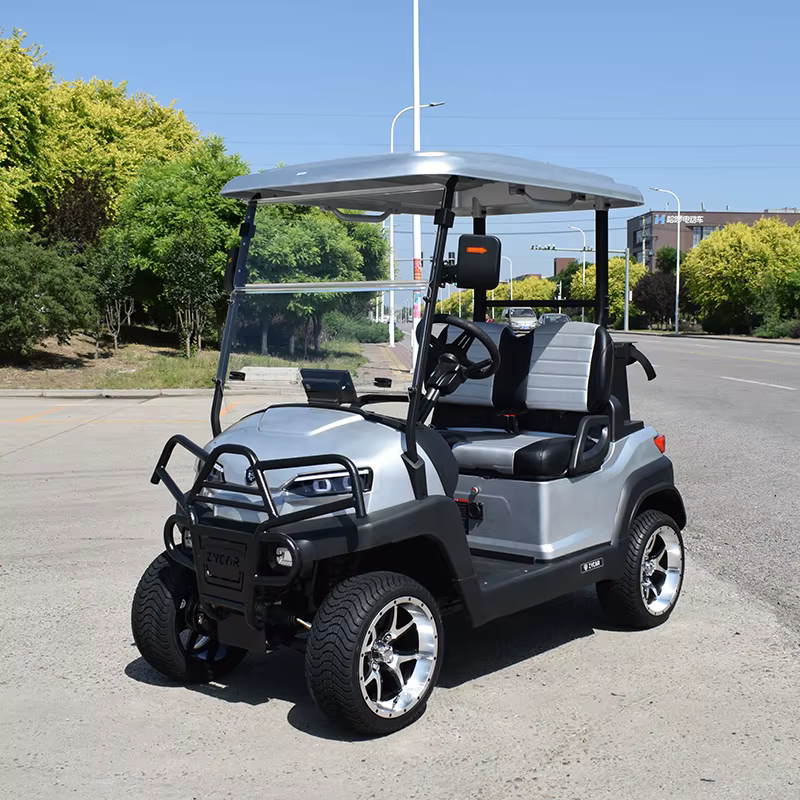 Chinese 2 Seater Electric Golf Carts — image 3
