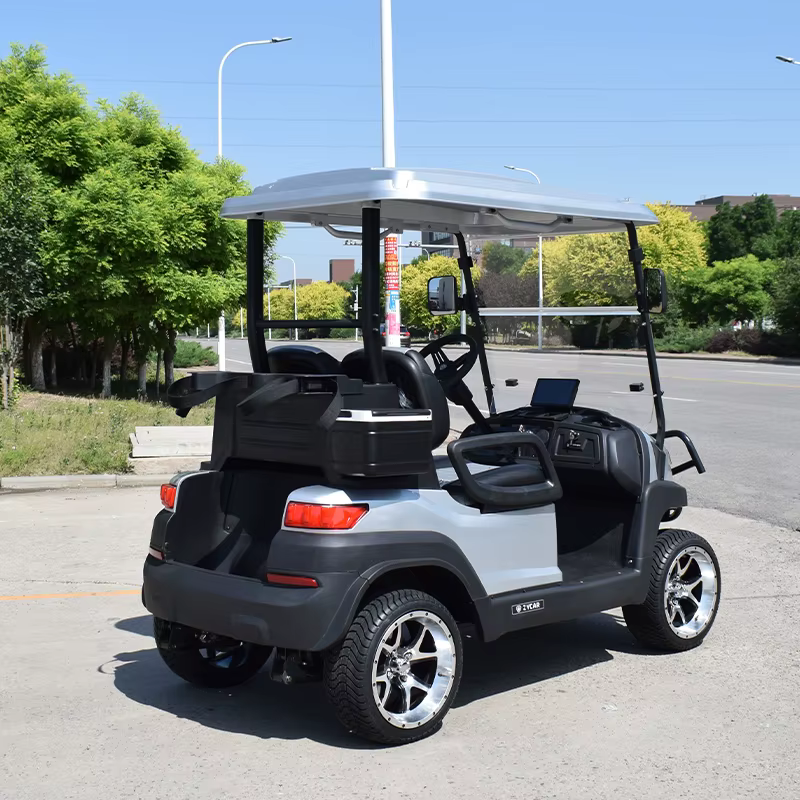 Chinese 2 Seater Electric Golf Carts — image 6