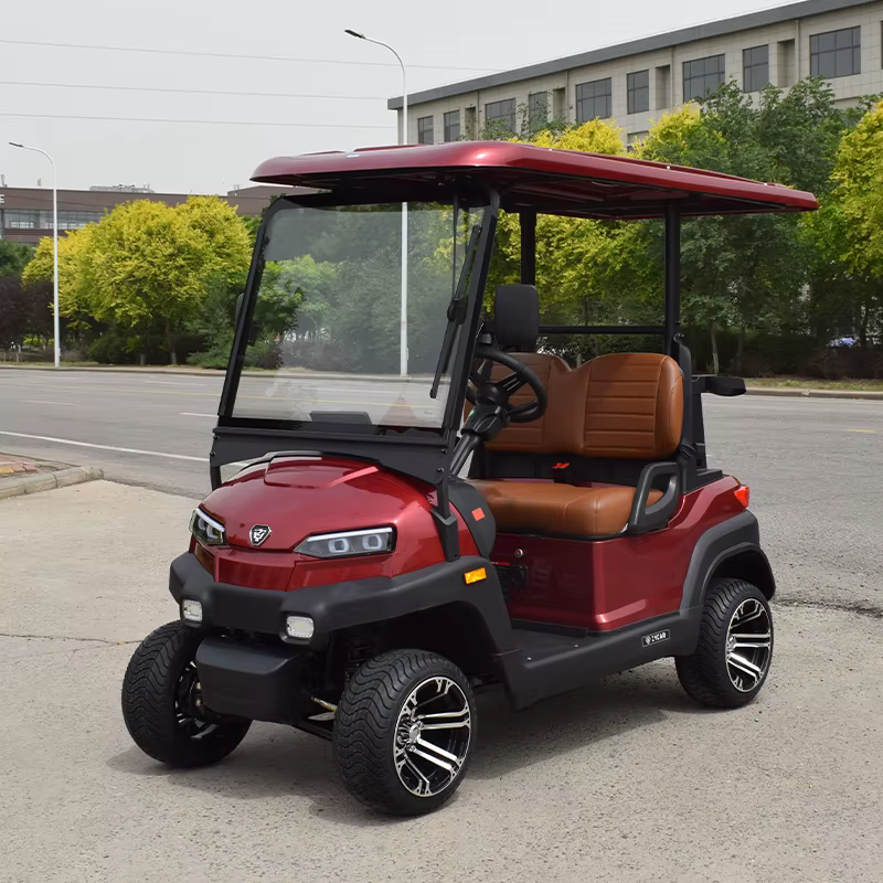EEC Approved China Made 2 Seat — image 2