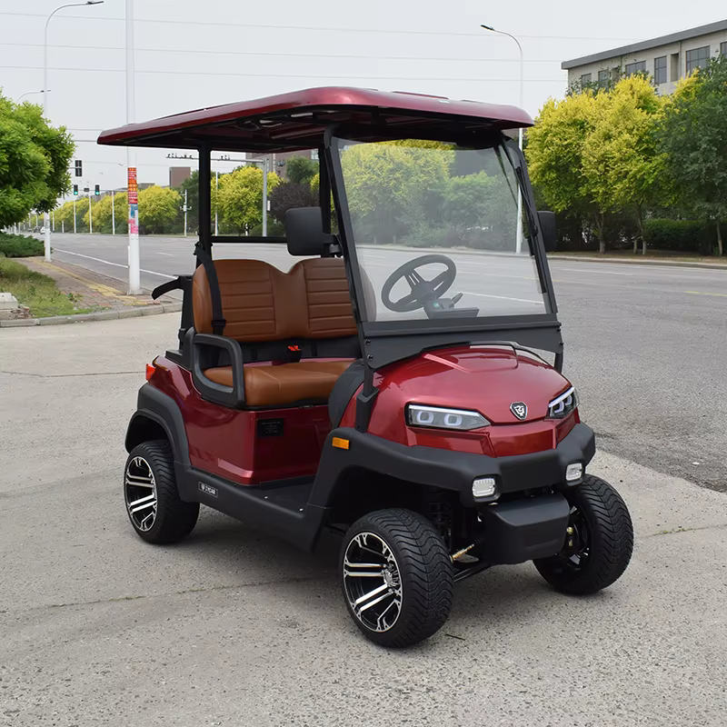EEC Approved China Made 2 Seat — image 3