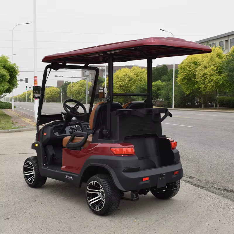 EEC Approved China Made 2 Seat — image 5