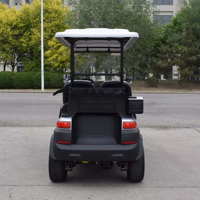 ZYCAR Brand 4 Seater Golf Car — image 6