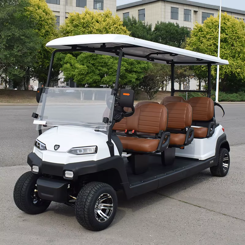 ZYCAR Electric Golf Car Multifunctional 6 — image 2