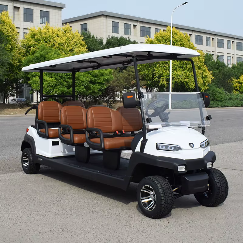 ZYCAR Electric Golf Car Multifunctional 6 — image 3