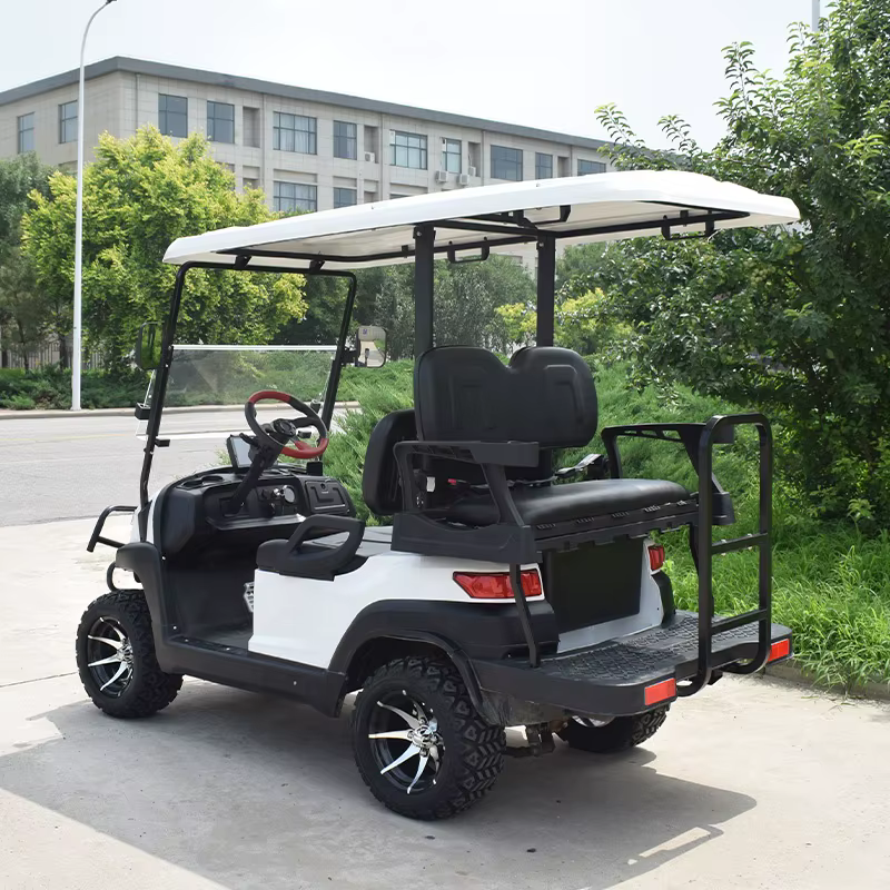 4 Seat Electric 2 2 Offroad — image 2