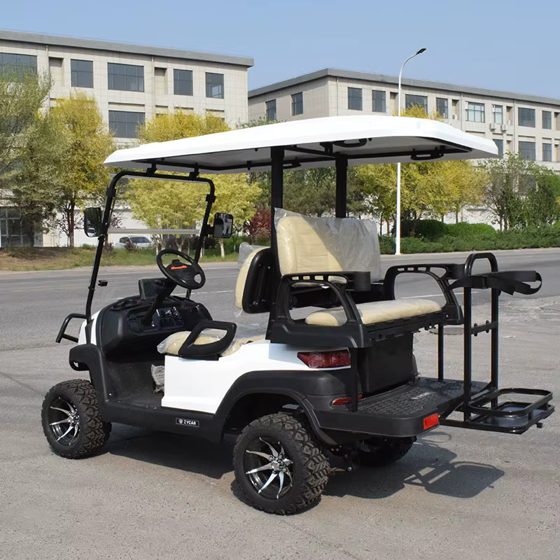 ZYCAR Brand New Golf Cart For — image 3