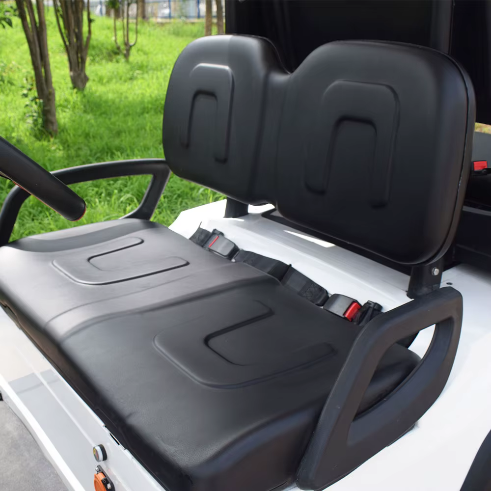 ZYCAR Brand New Golf Cart For — image 6