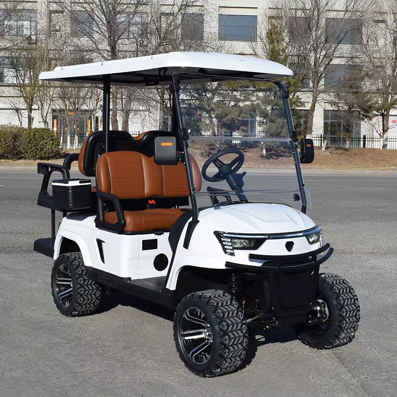 ZYCAR Classic Electric Golf Cart Import — image 2