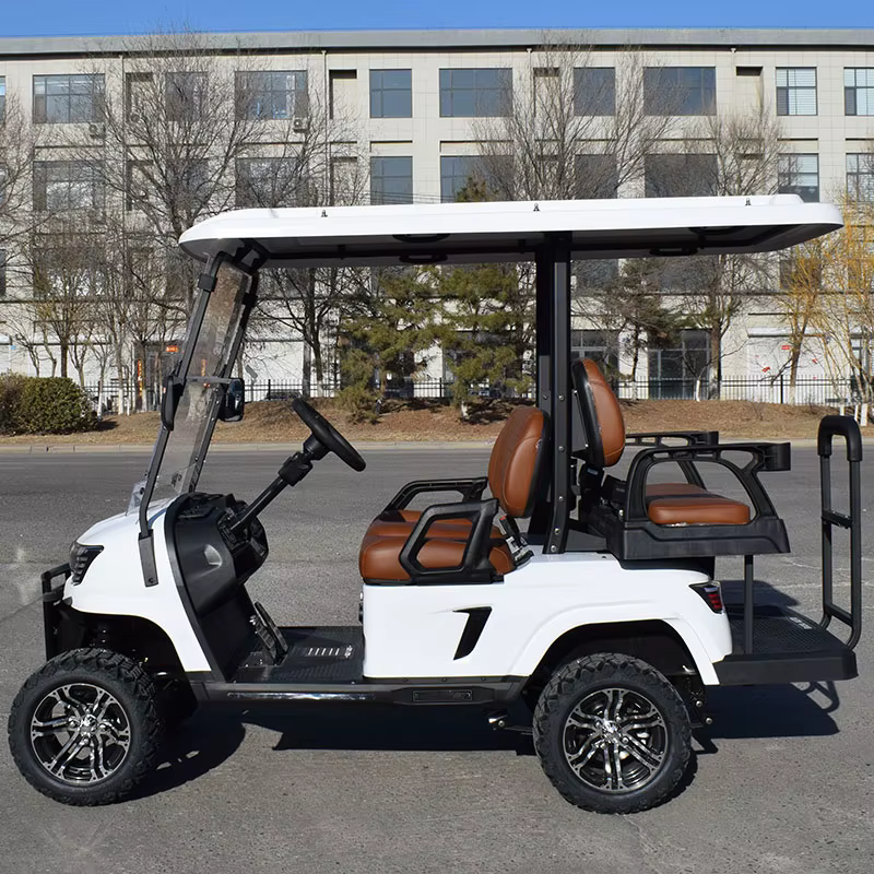 ZYCAR Classic Electric Golf Cart Import — image 3