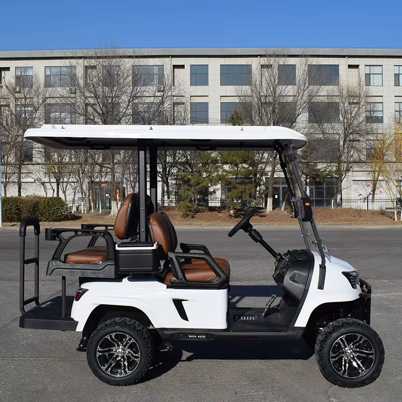 ZYCAR Classic Electric Golf Cart Import — image 4