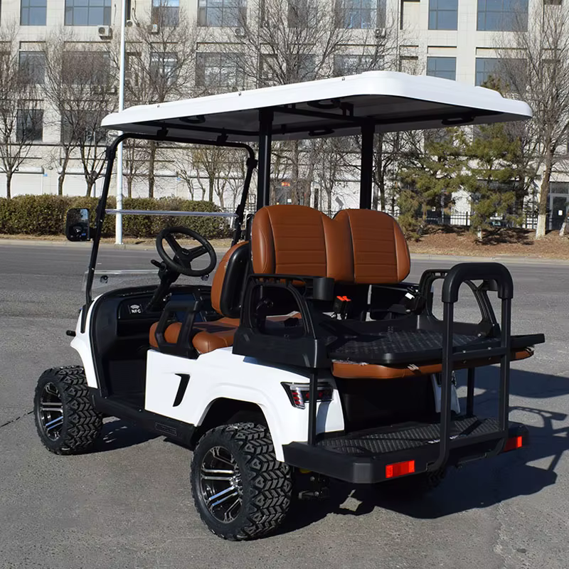 ZYCAR Classic Electric Golf Cart Import — image 5