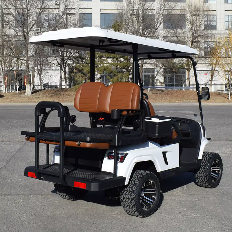 ZYCAR Classic Electric Golf Cart Import — image 6