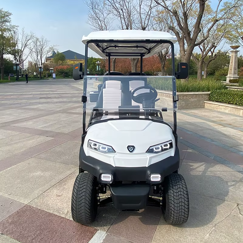 ZYCAR 4 2 Seater Electric Powered — image 3