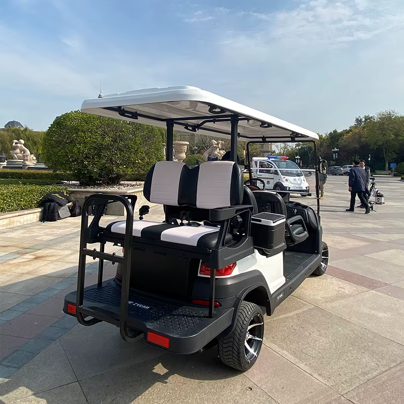 ZYCAR 4 2 Seater Electric Powered — image 4