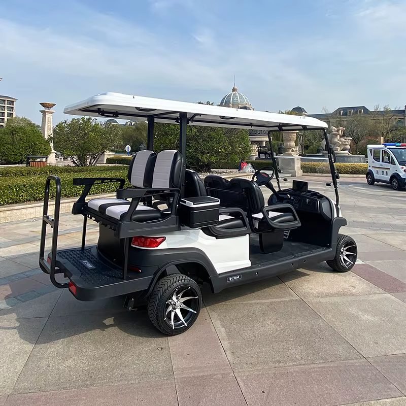 ZYCAR 4 2 Seater Electric Powered — image 5
