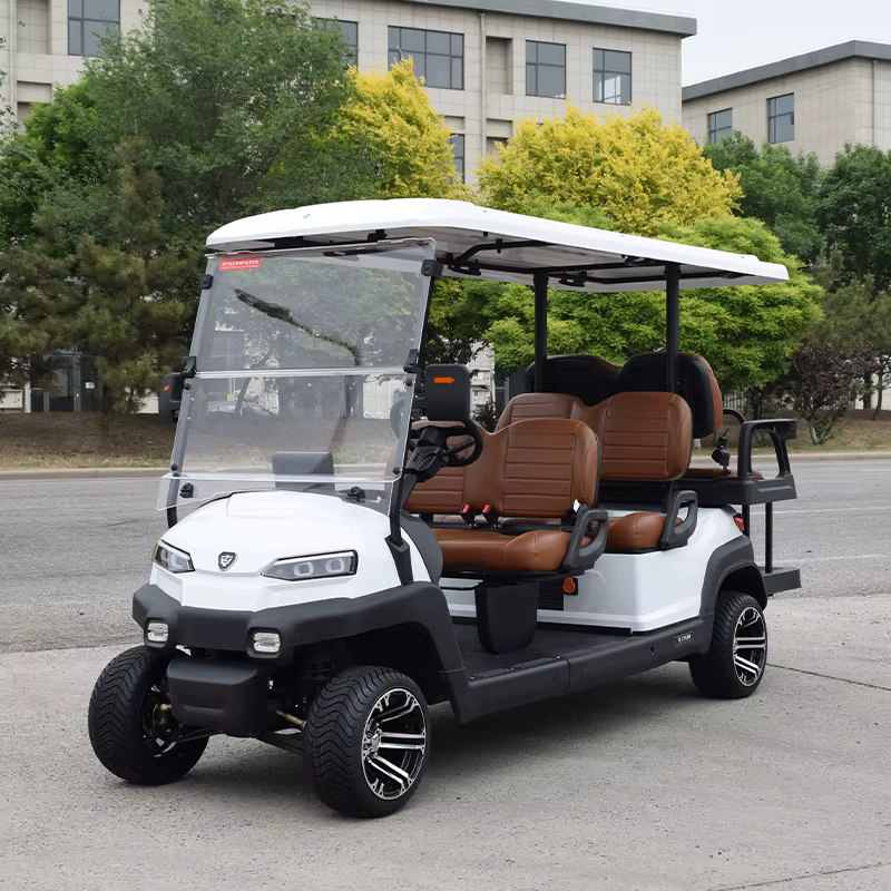 ZYCAR Brand Electric Golf Car Smart — image 4