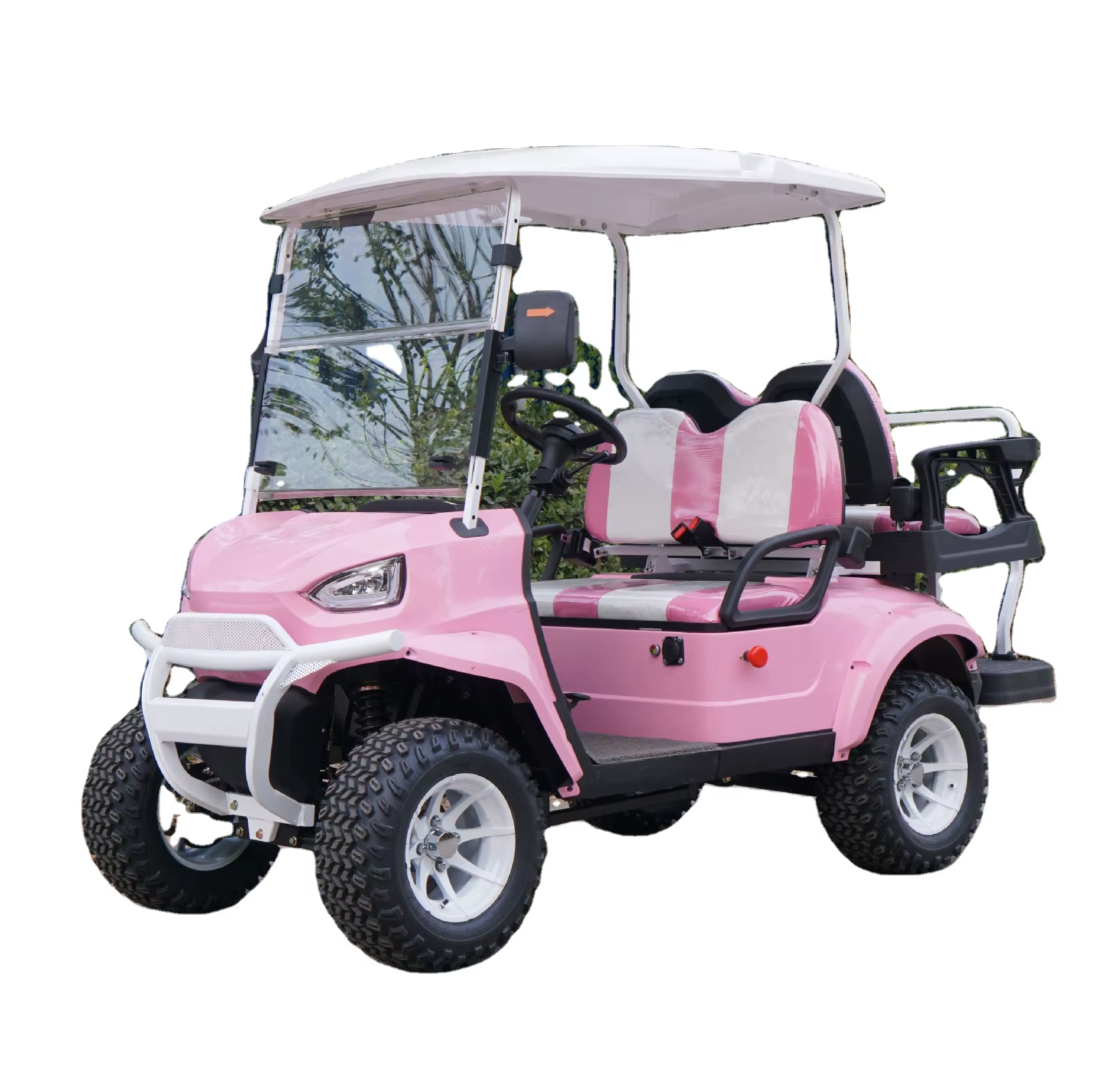 Gasoline Gas Electric Powered Golf Cart — image 2