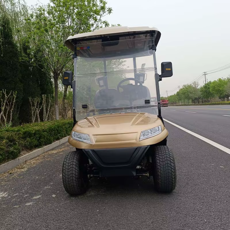 Best Price Electric 4 Seats Mini — image 2