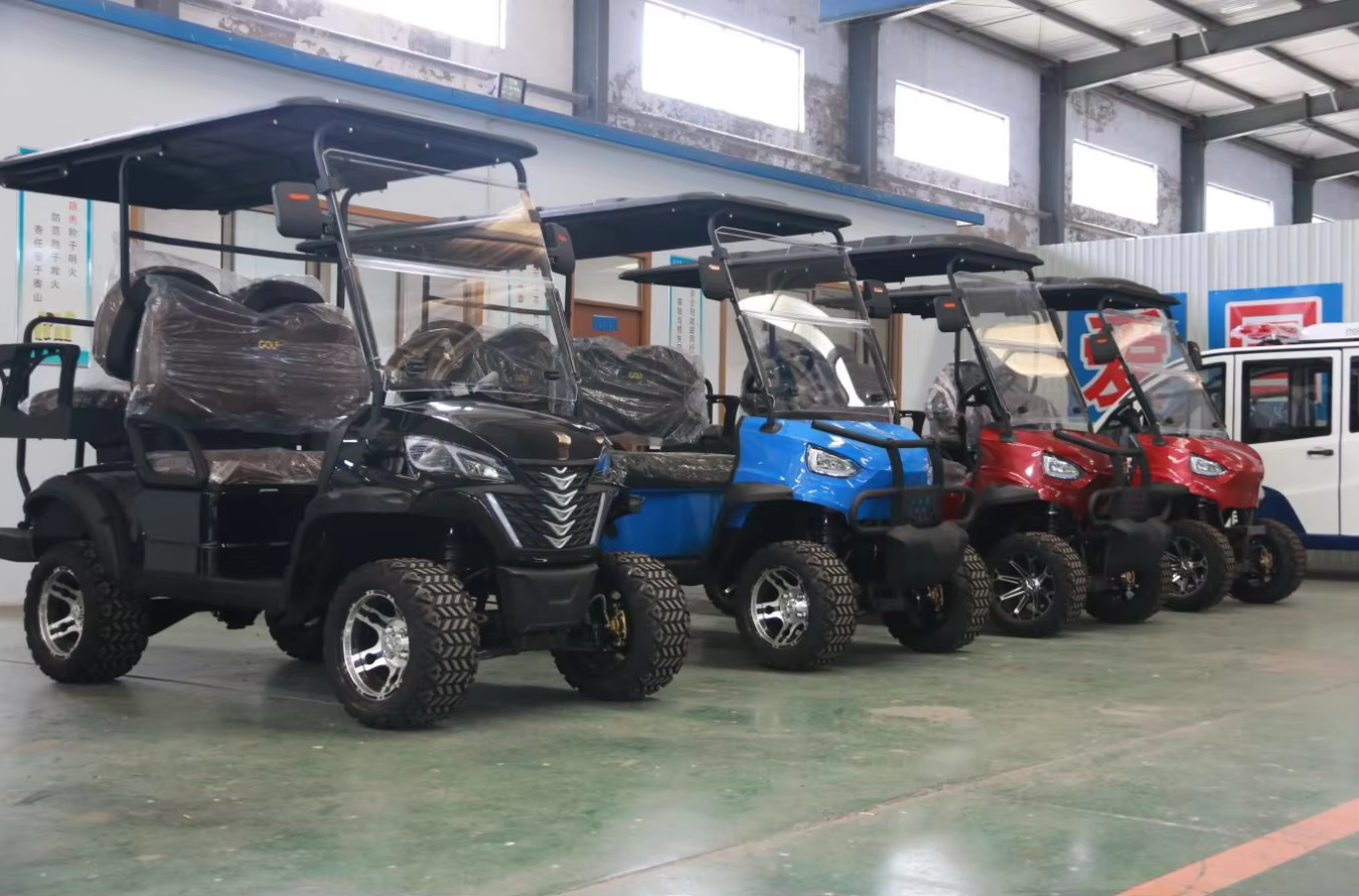 Cheap Factory Price Electric 6 Seater — image 3