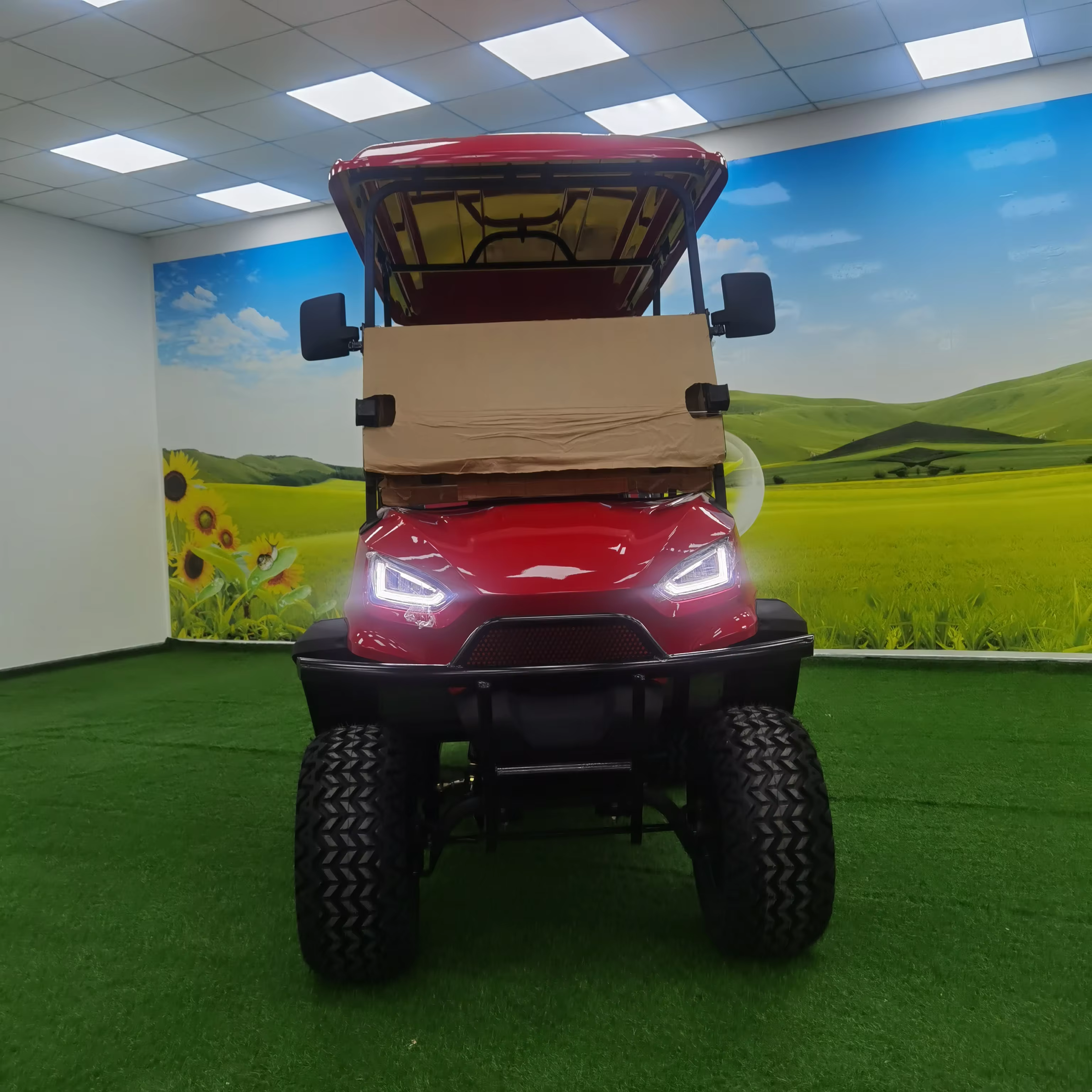 Professional Factory 4 Seater Mini Cars — image 3