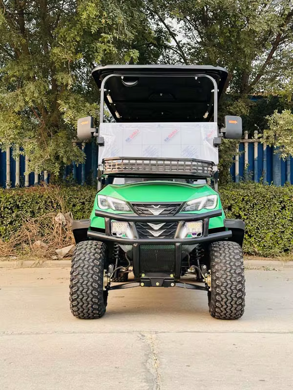 Factory Direct Selling Cars Customized Electric — image 4