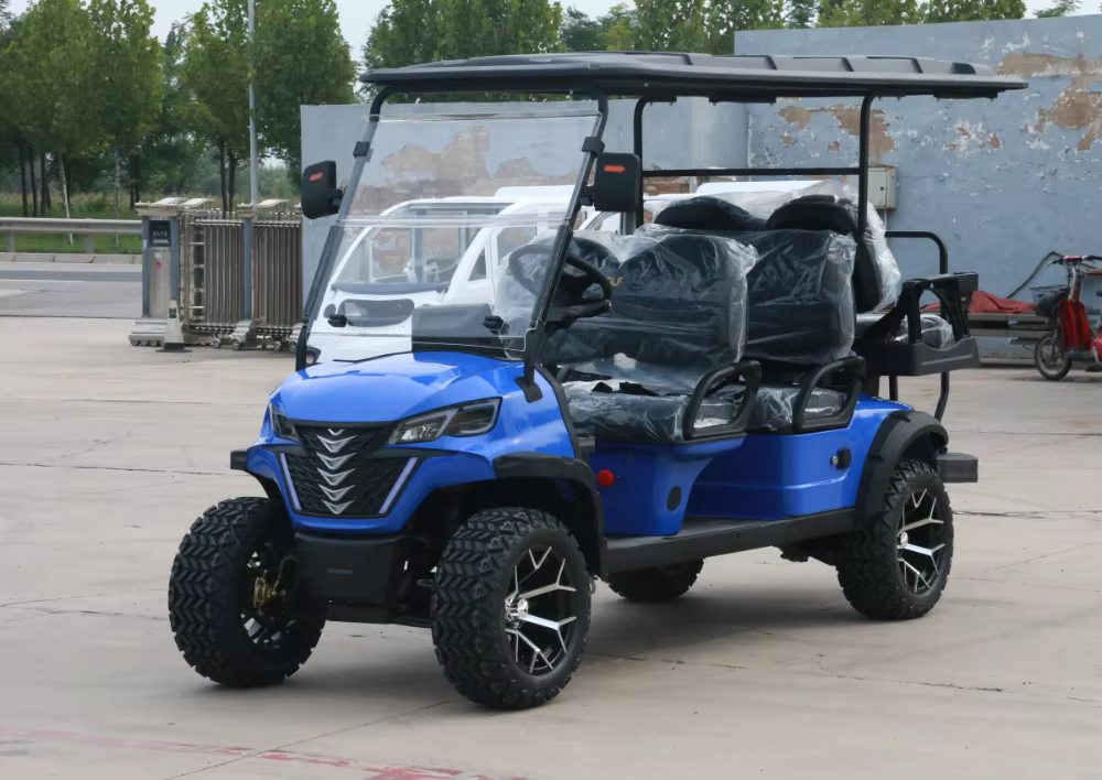 QIFAN 48V 4 Wheel 4 Seater — image 4