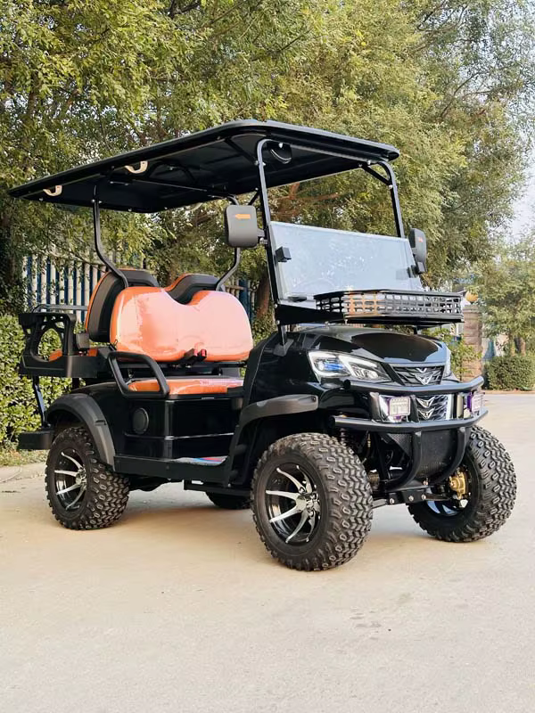 High Quality 4 Seater Golf Cart — image 4